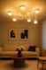 Люстра стельова металева білого кольору N-light DR0-80403-1-LS DR0-80403-1-LS фото 6
