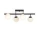 Люстра з кулями 4-х лампова на кухню, хол, дитячу N-light DR0-80344-LS DR0-80344-LS фото 1